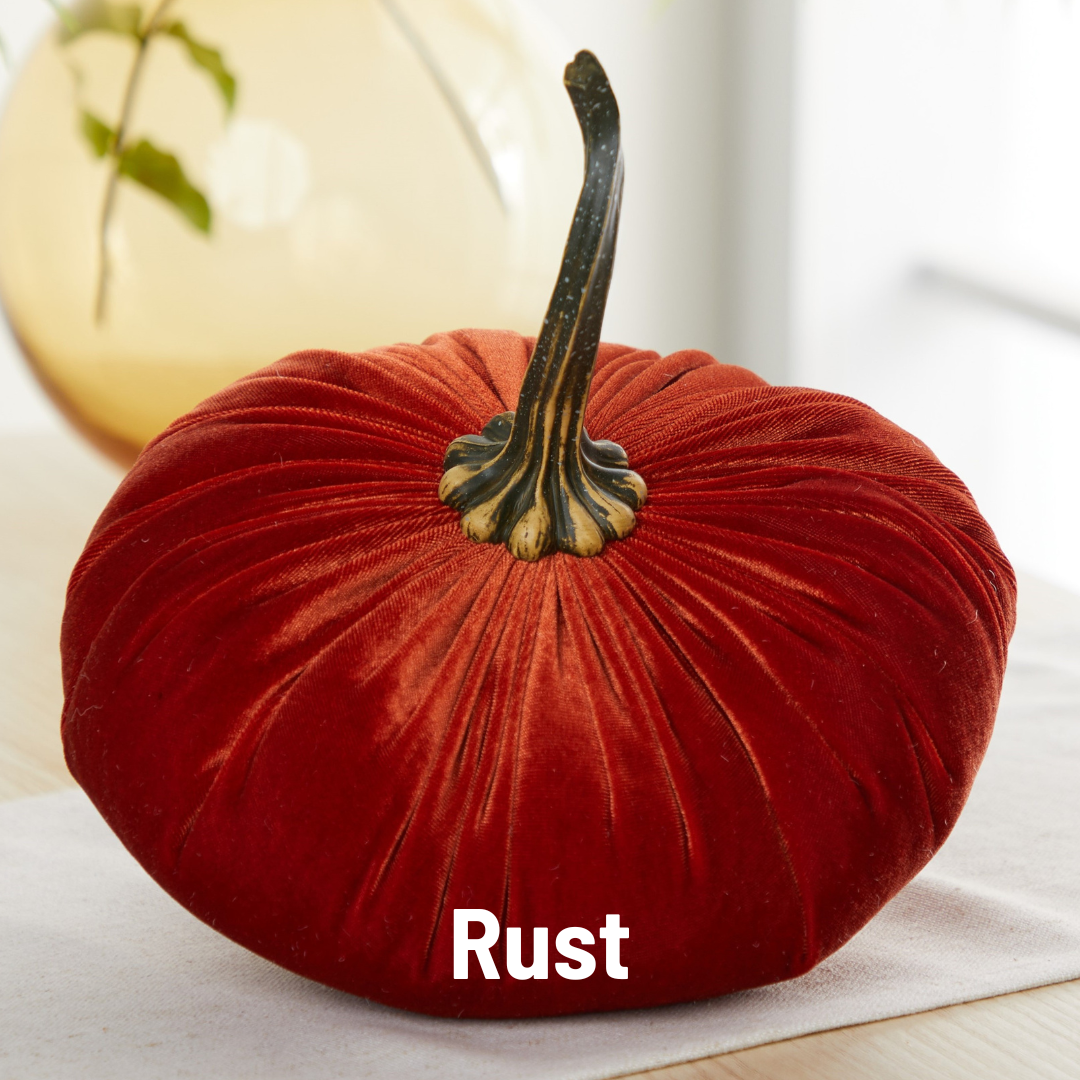 Pumpkin Extra Large Velvet