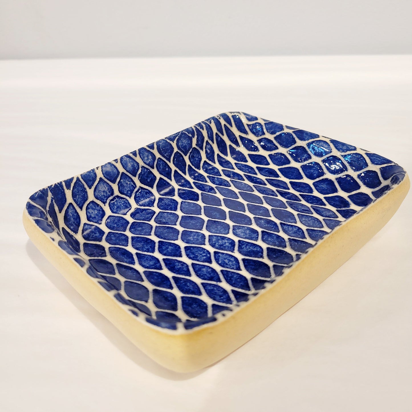 Terrafirma Ceramics - Cobalt Tasting Rectangular Dips