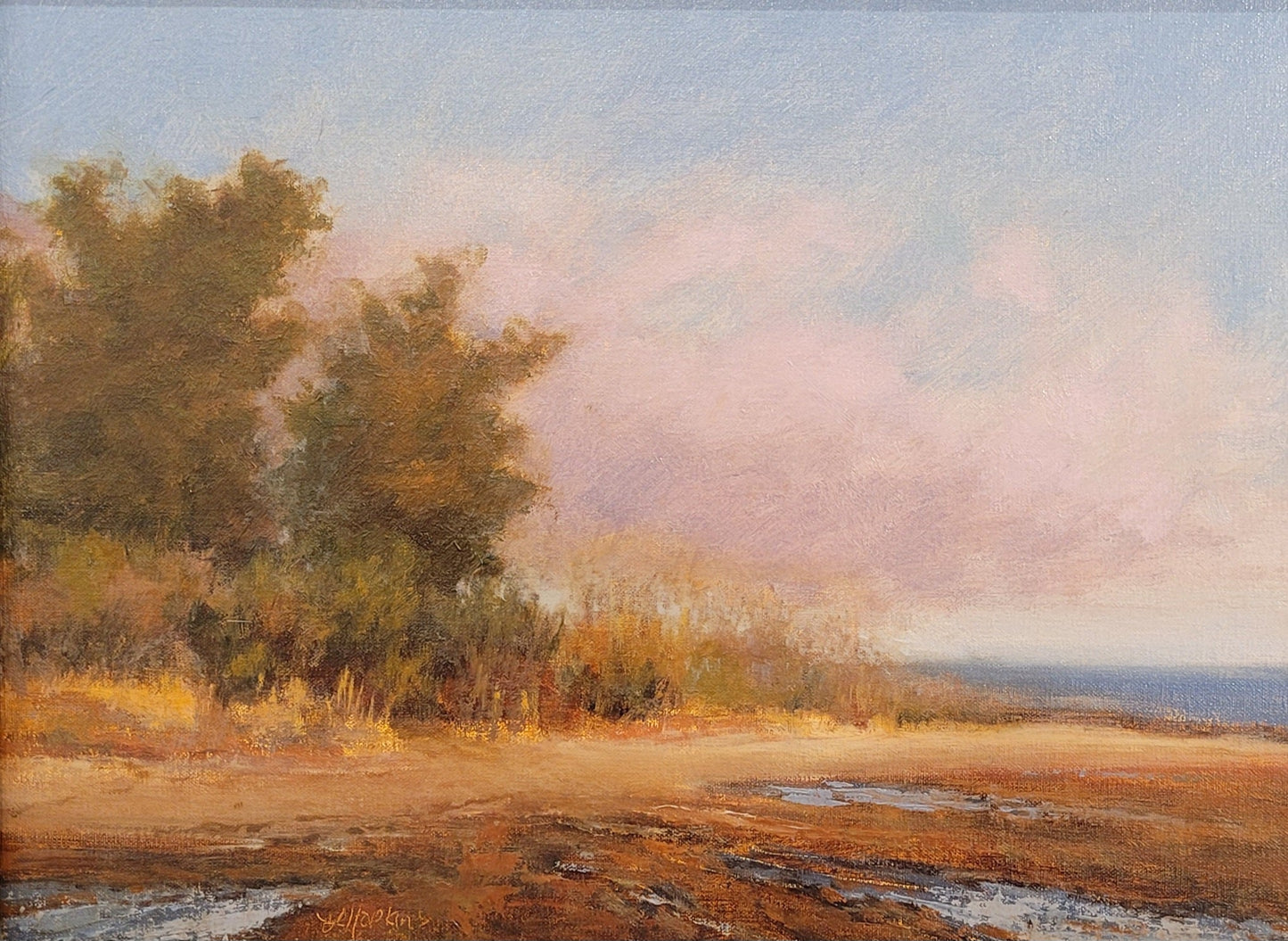 Dawn, Griswold Point, Laura Hopkins
