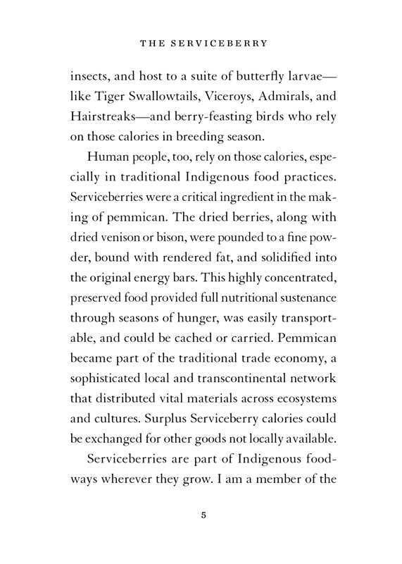 Serviceberry by Robin Wall Kimmerer: Hardcover; 128 pages / English - r. h. ballard shop & gallery