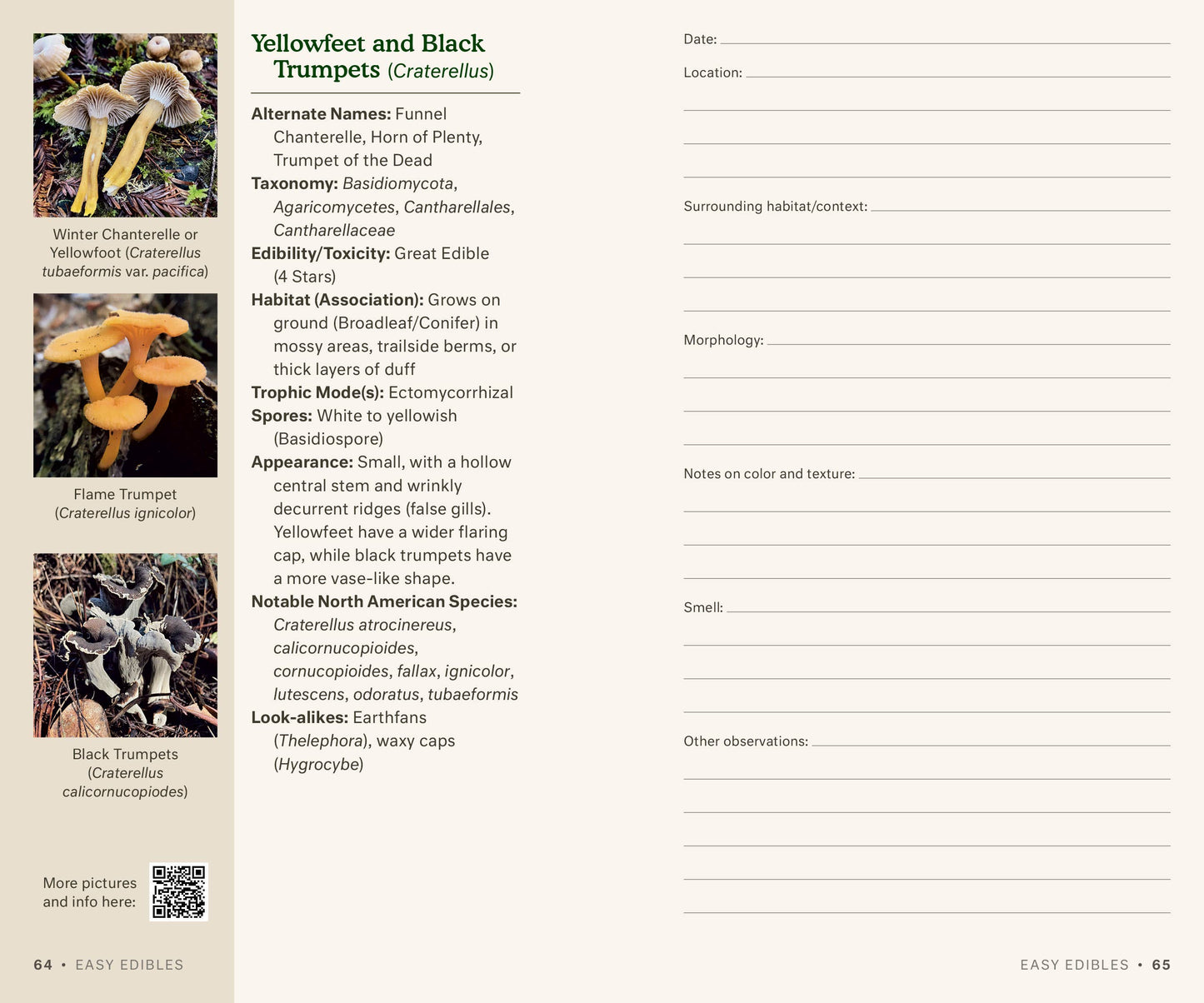 Dr. Fun Guy's Mushroom Journal - r. h. ballard shop & gallery