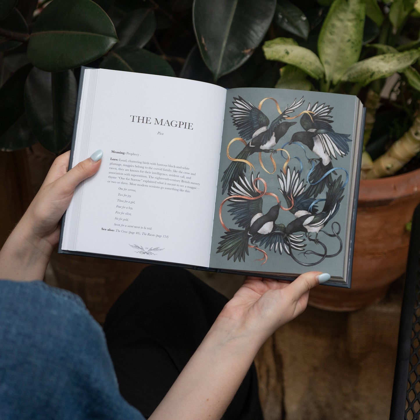 Ornithography by Jessica Roux: Hardcover; 224 pages / English - r. h. ballard shop & gallery