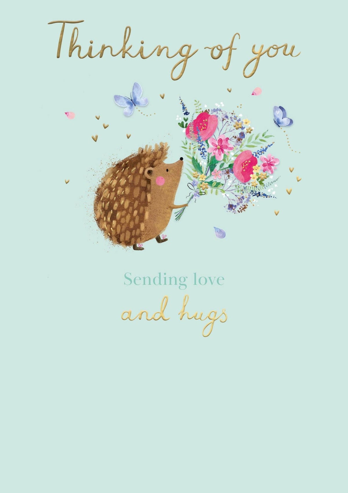 THINKING OF YOU GREETING CARD HEDGEHOG ABACUS