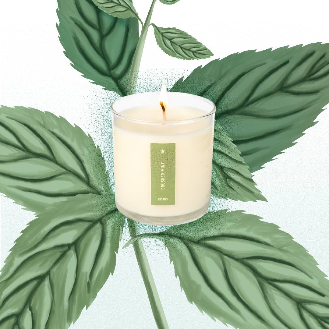 Crushed Mint - Plant the Box Candle - 9oz.