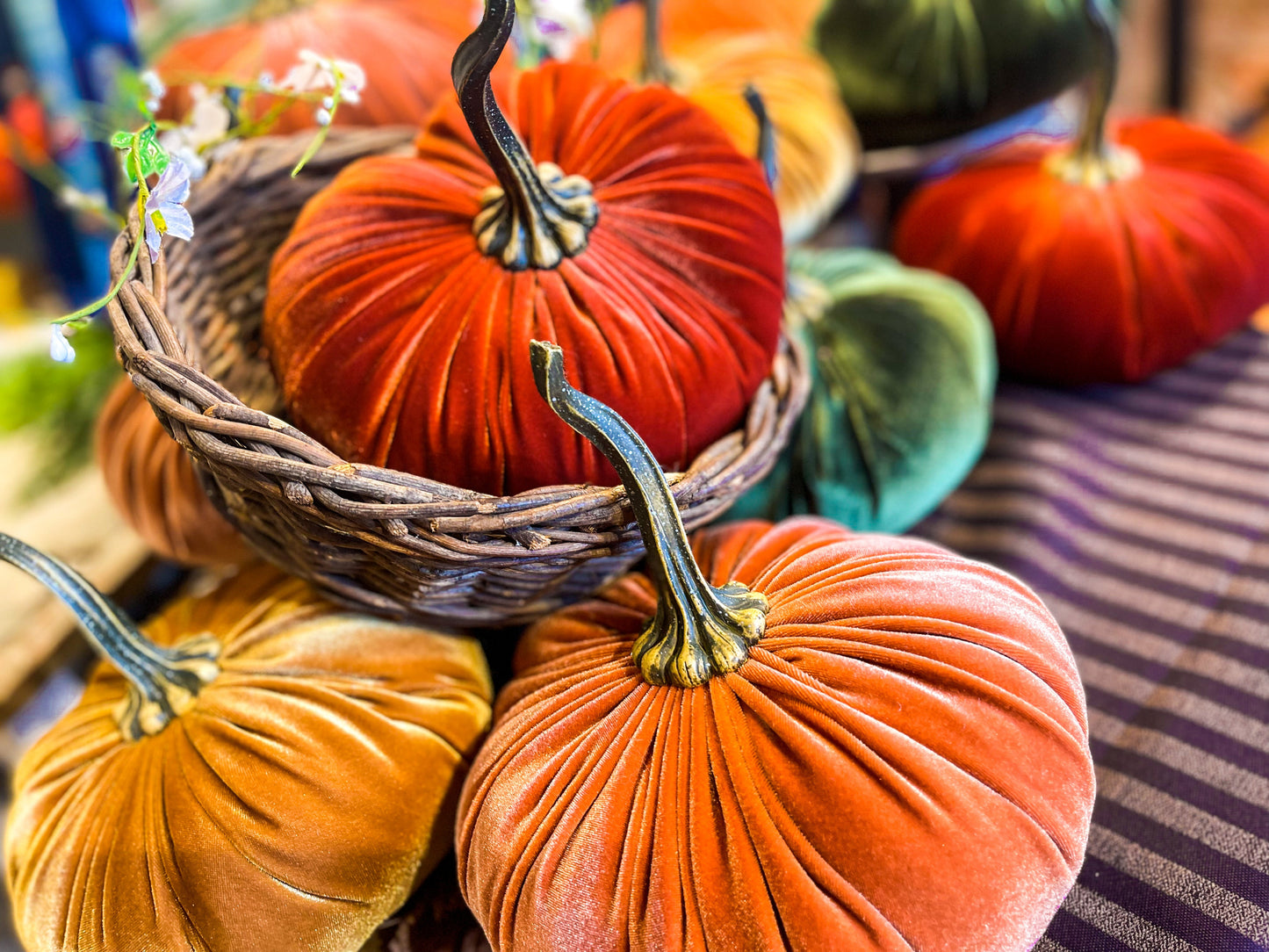 Medium Velvet Pumpkin