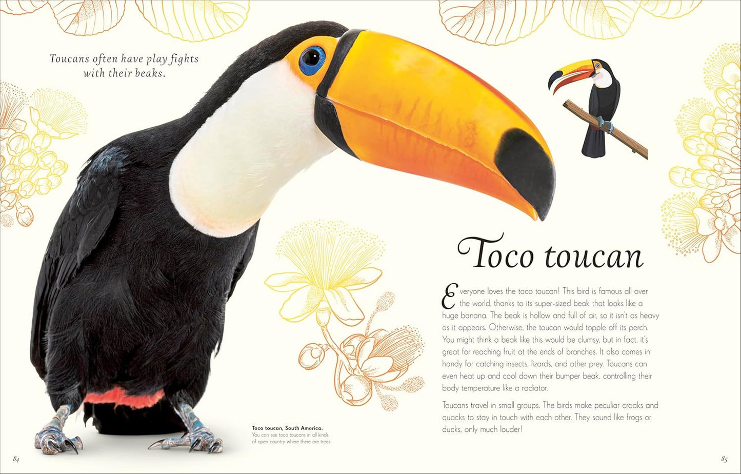 An Anthology of Exquisite Birds