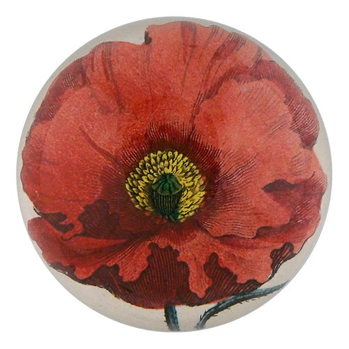 Garden Poppy Dome Paperweight, 3.5in x 1.5in