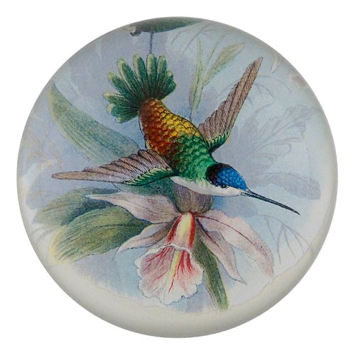 Hummingbird Dome Paperweight, 3.5in x 1.5in
