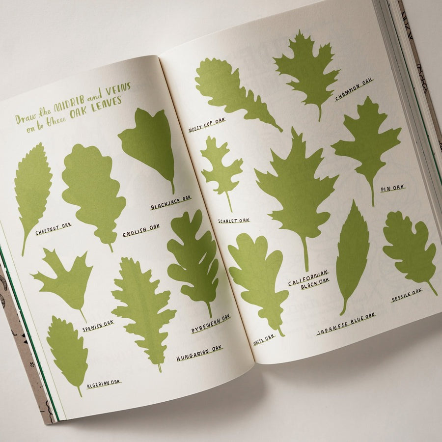 Hello Nature Activity Book