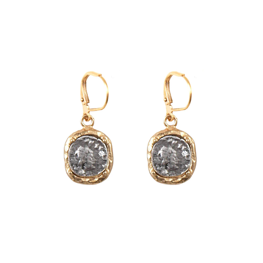 Gold Pavia Coin and Frame Earrings