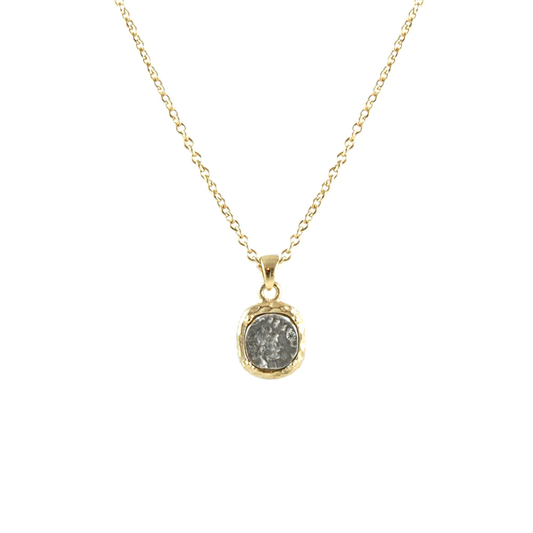 Gold Pavia Coin and Frame Necklace