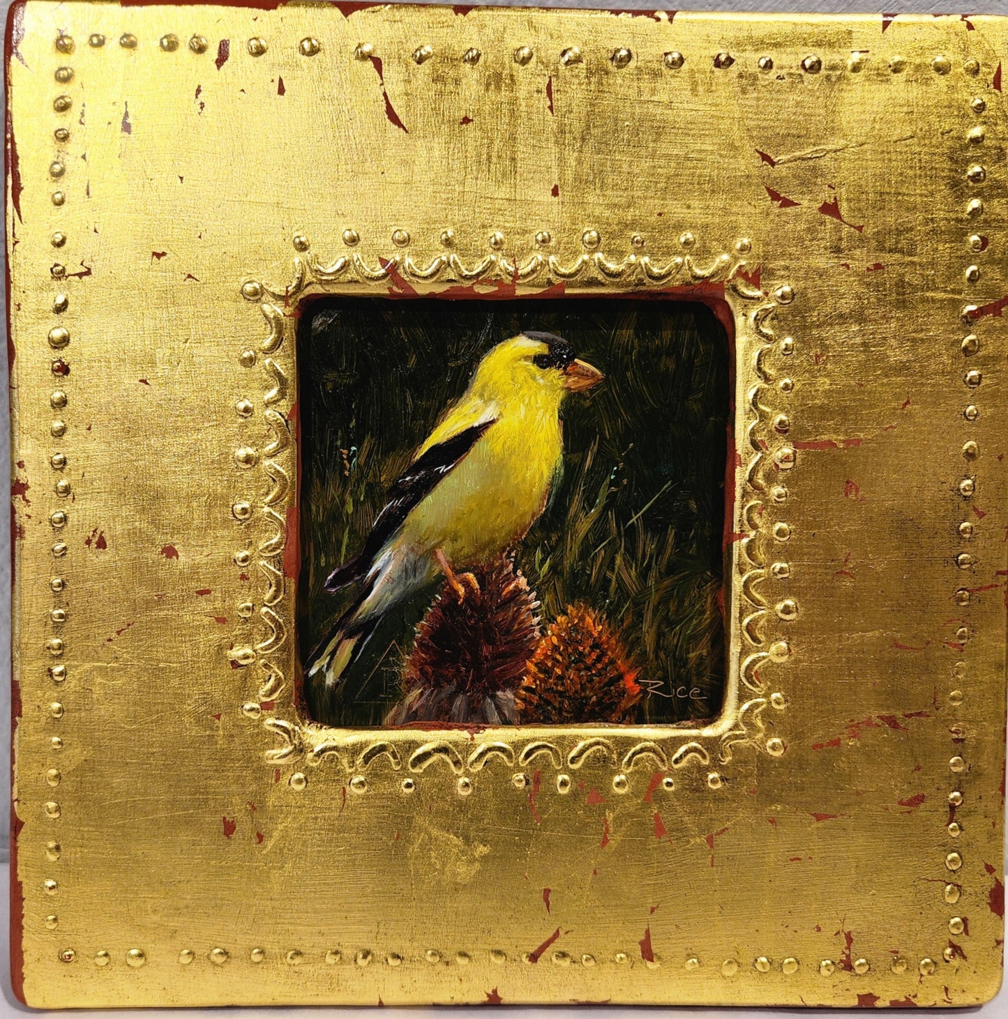 Perched on a Cornflower, Patricia McMahon Rice