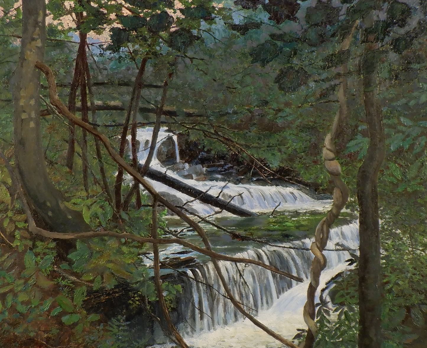 Secret Waters, Tom Tartaglino