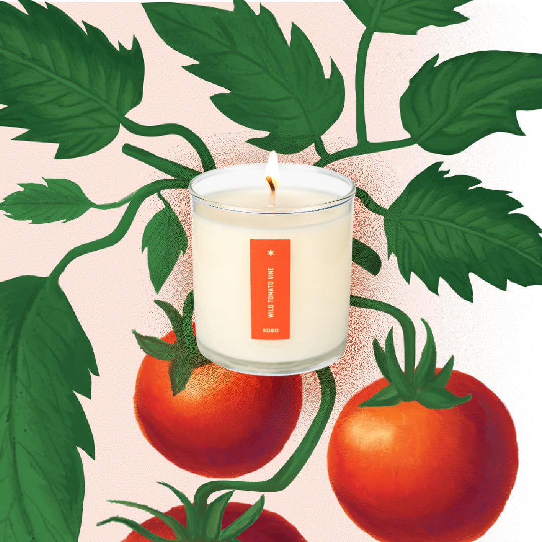 Wild Tomato Vine - Plant the Box Candle - 9oz.