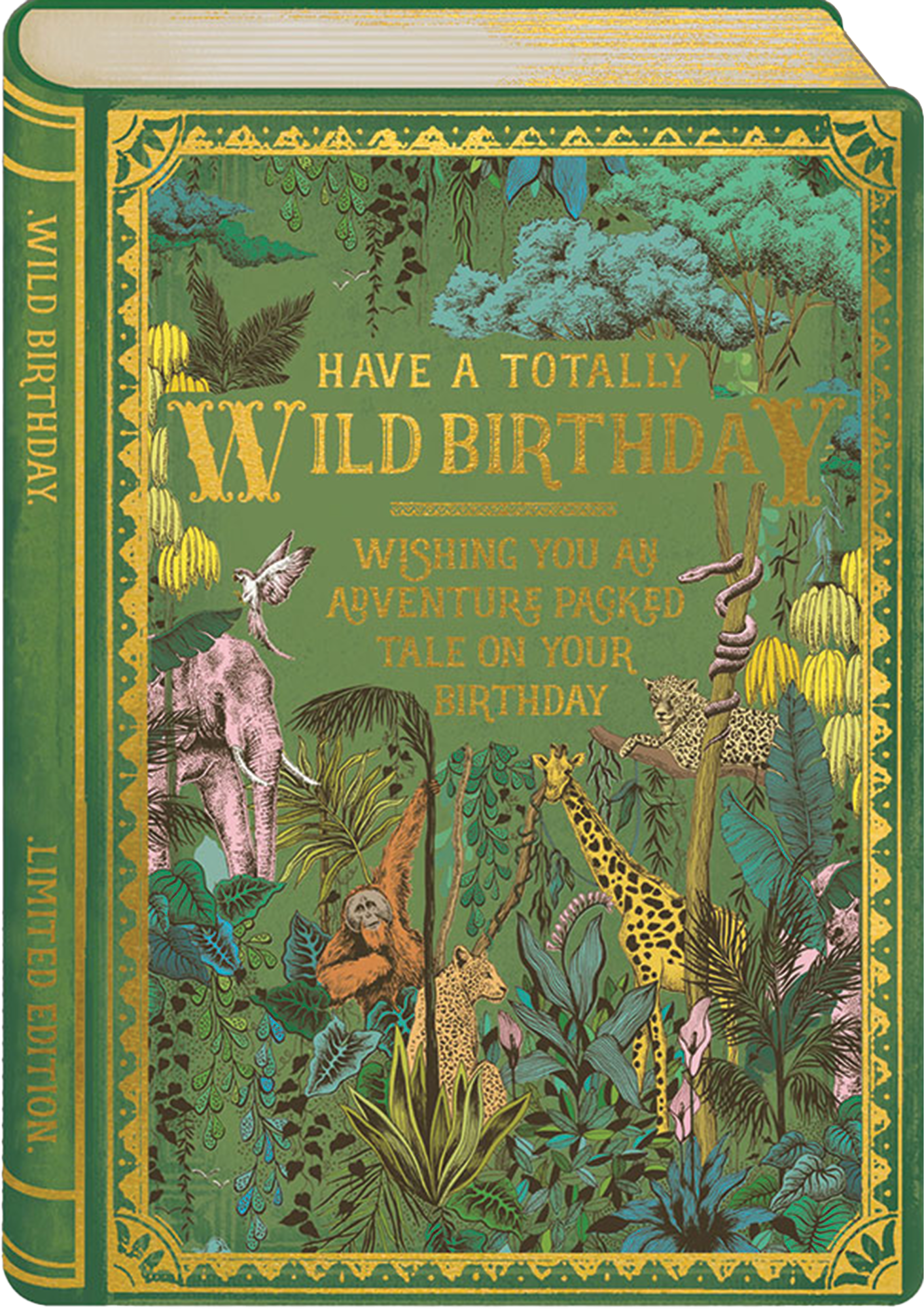 STORYBOOK WILD BIRTHDAY GREETING CARD THE ART FILE - r. h. ballard shop & gallery