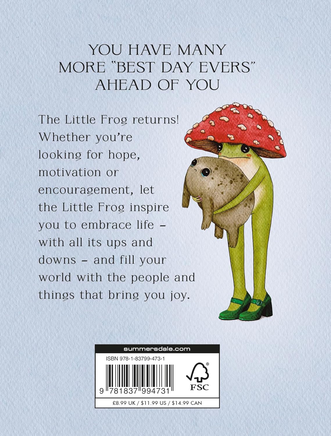 The Little Frog's Guide to Life: Love, Advice and Inspiration for Every Day
