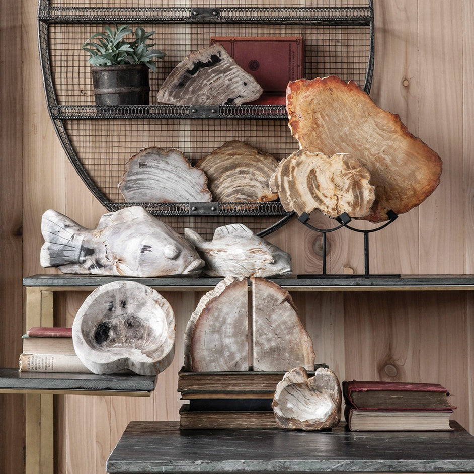 Petrified Wood Soap Dish, One-of-a-kind - r. h. ballard shop & gallery
