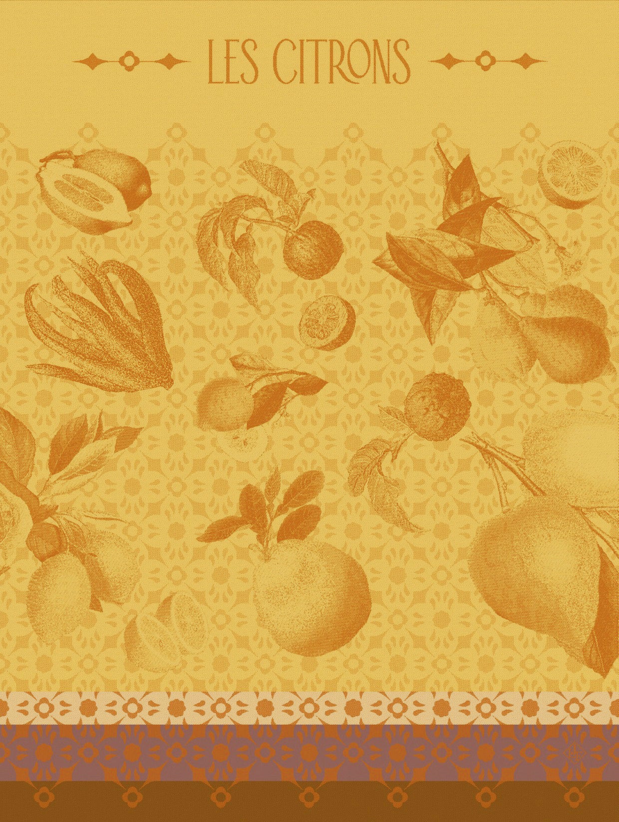 NEW! La Beaute du Zeste Orange - r. h. ballard shop & gallery