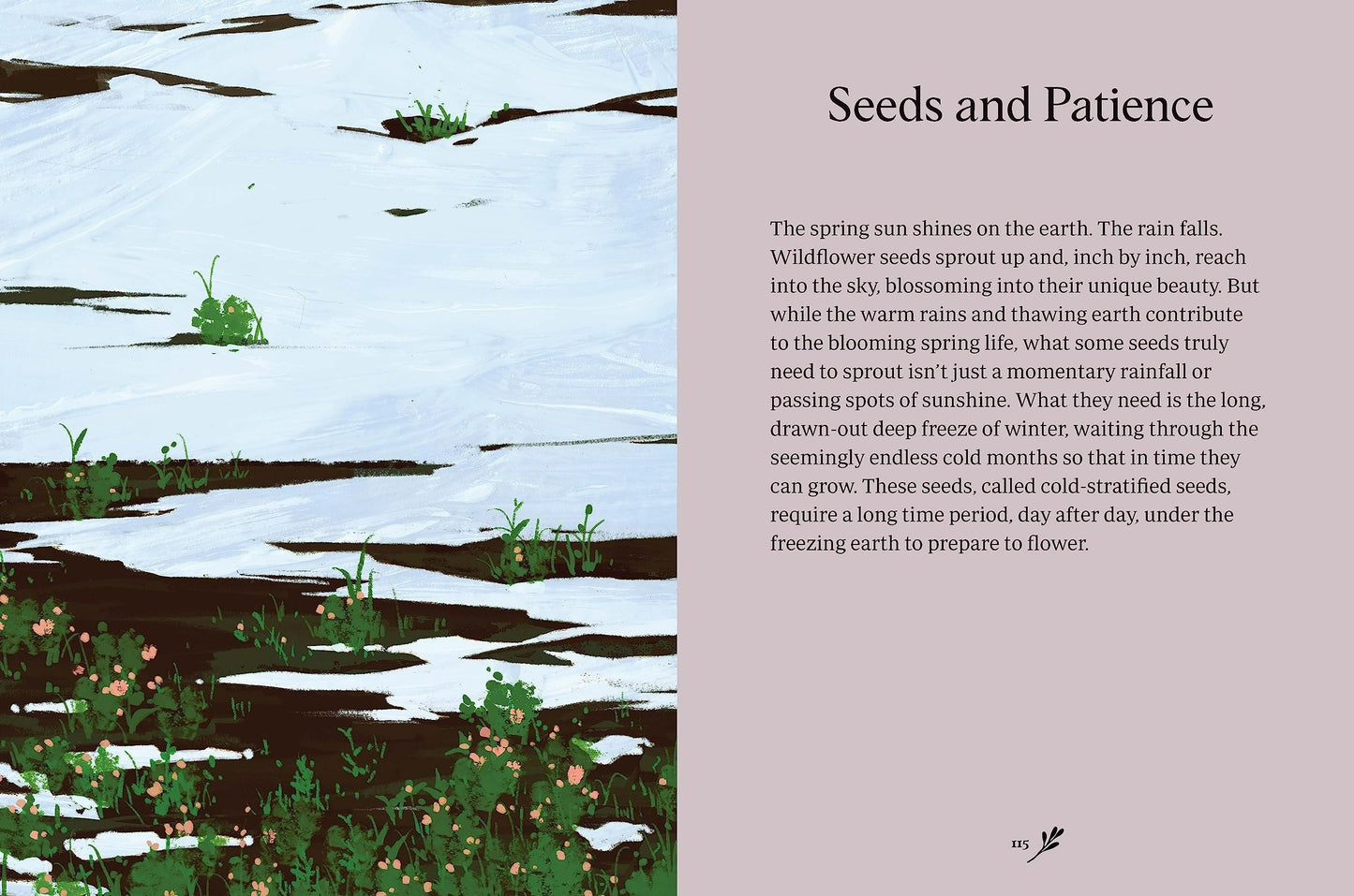 Wisdom of the Wild: Life Lessons from Nature