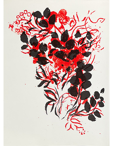 Cover (Back)
