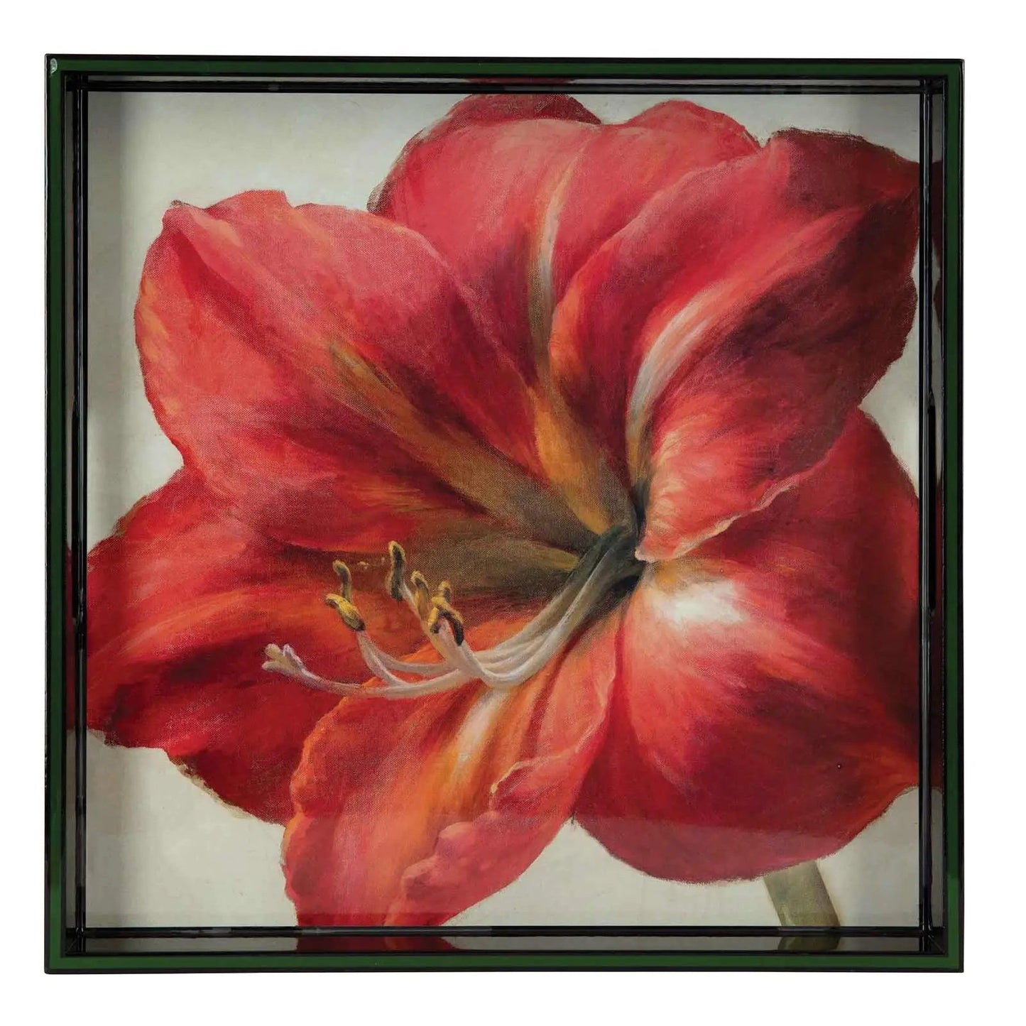 Amaryllis Tray