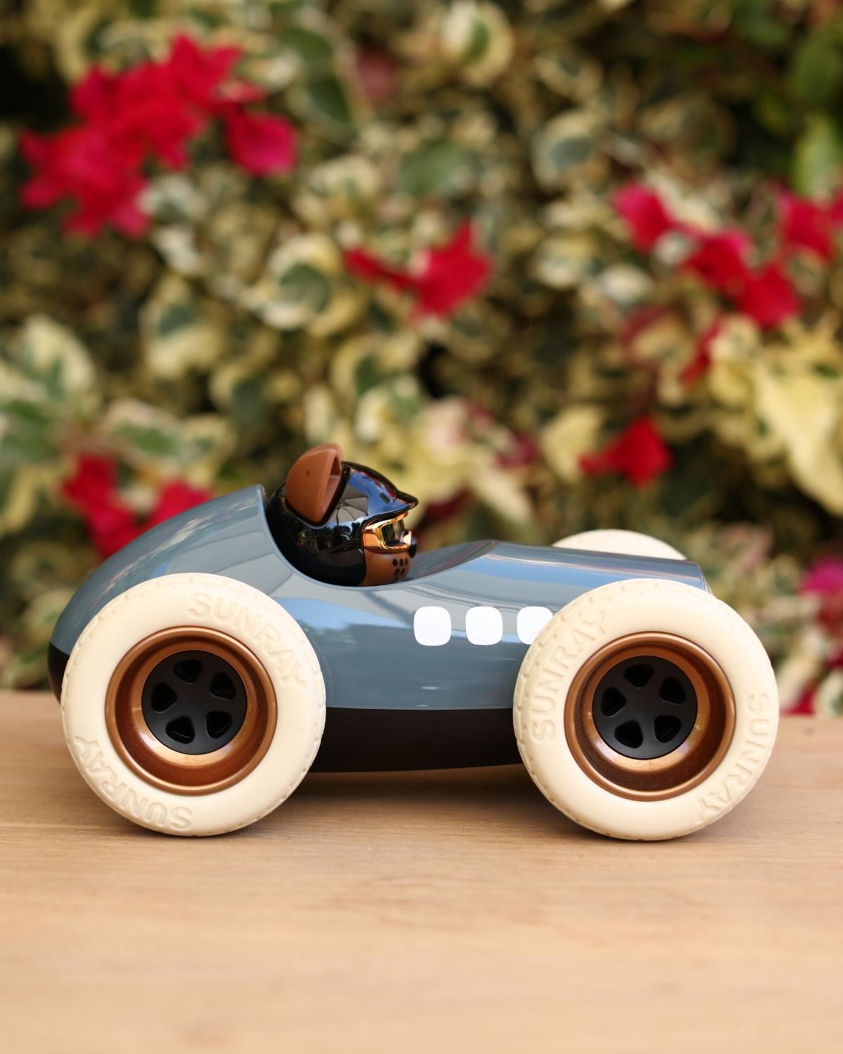 Blue Egg Roadster Car With Cat “Karlos” Pilot