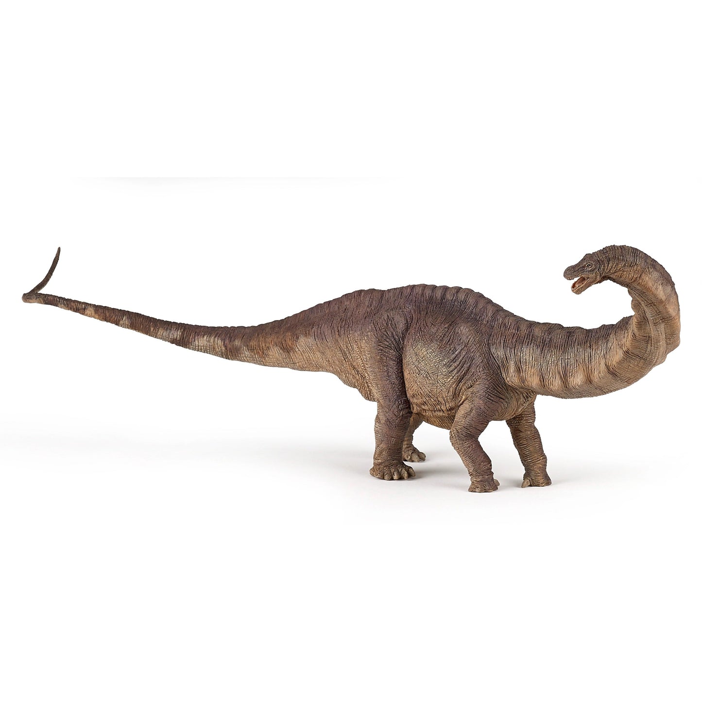 dinosaur