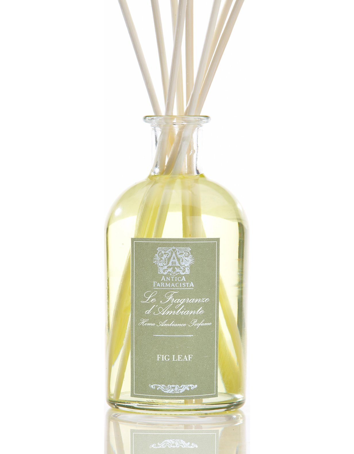 Fig Leaf - r. h. ballard shop
