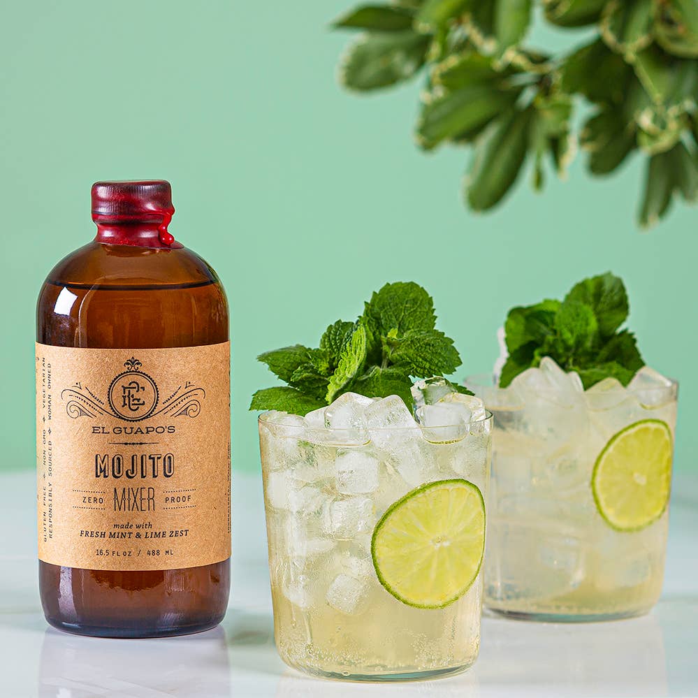 Mojito Drink Mixer 16.5 oz