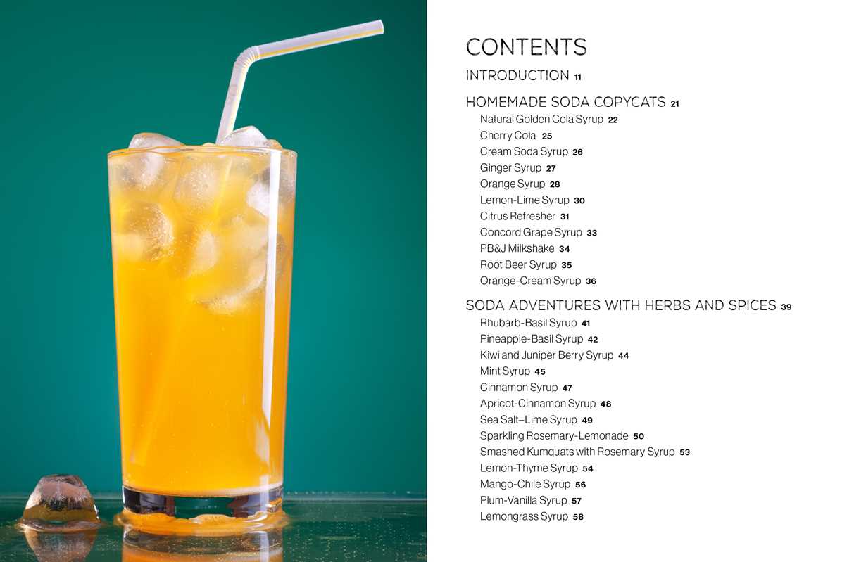 Fizz by Andrea Lynn: Hardcover; 144 pages / English - r. h. ballard shop & gallery