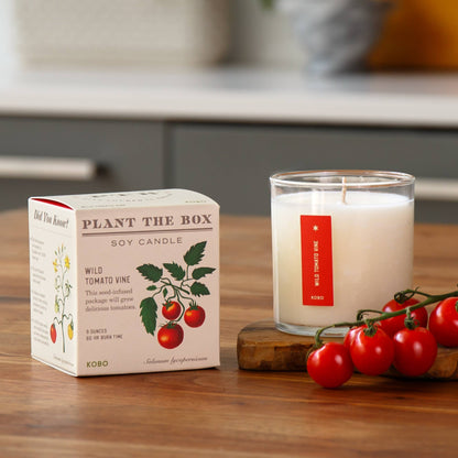 Wild Tomato Vine - Plant the Box Candle - 9oz.