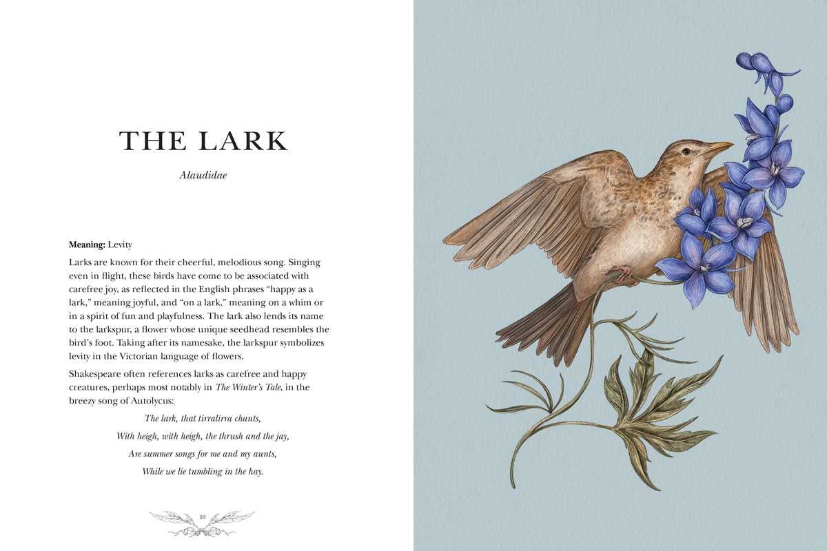 Ornithography by Jessica  Roux: Hardcover; 224 pages / English - r. h. ballard shop & gallery