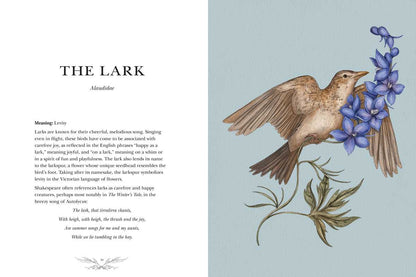 Ornithography by Jessica  Roux: Hardcover; 224 pages / English - r. h. ballard shop & gallery
