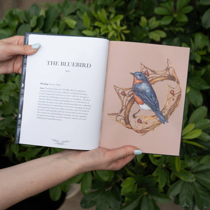 Ornithography by Jessica  Roux: Hardcover; 224 pages / English - r. h. ballard shop & gallery