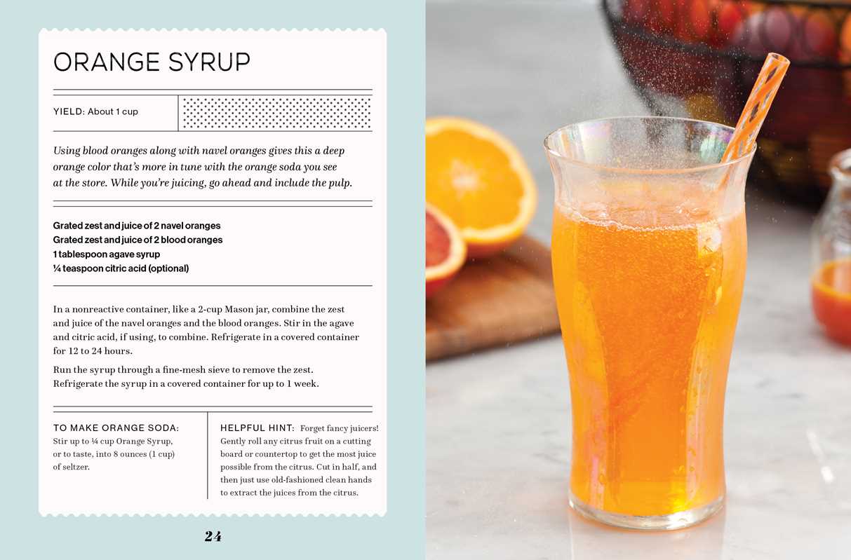 Fizz by Andrea Lynn: Hardcover; 144 pages / English - r. h. ballard shop & gallery