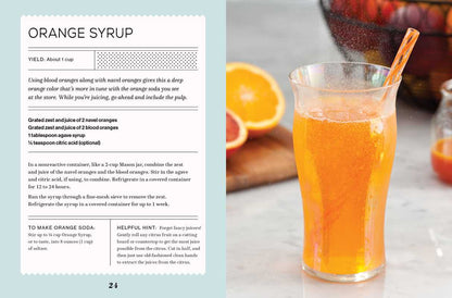 Fizz by Andrea Lynn: Hardcover; 144 pages / English - r. h. ballard shop & gallery