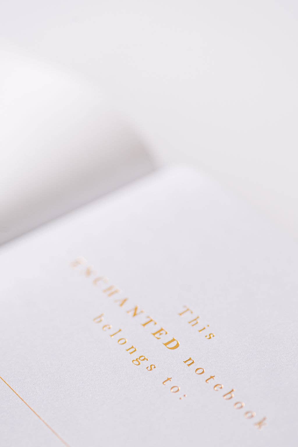 Thistle Rose Journal - Ivy - r. h. ballard shop & gallery