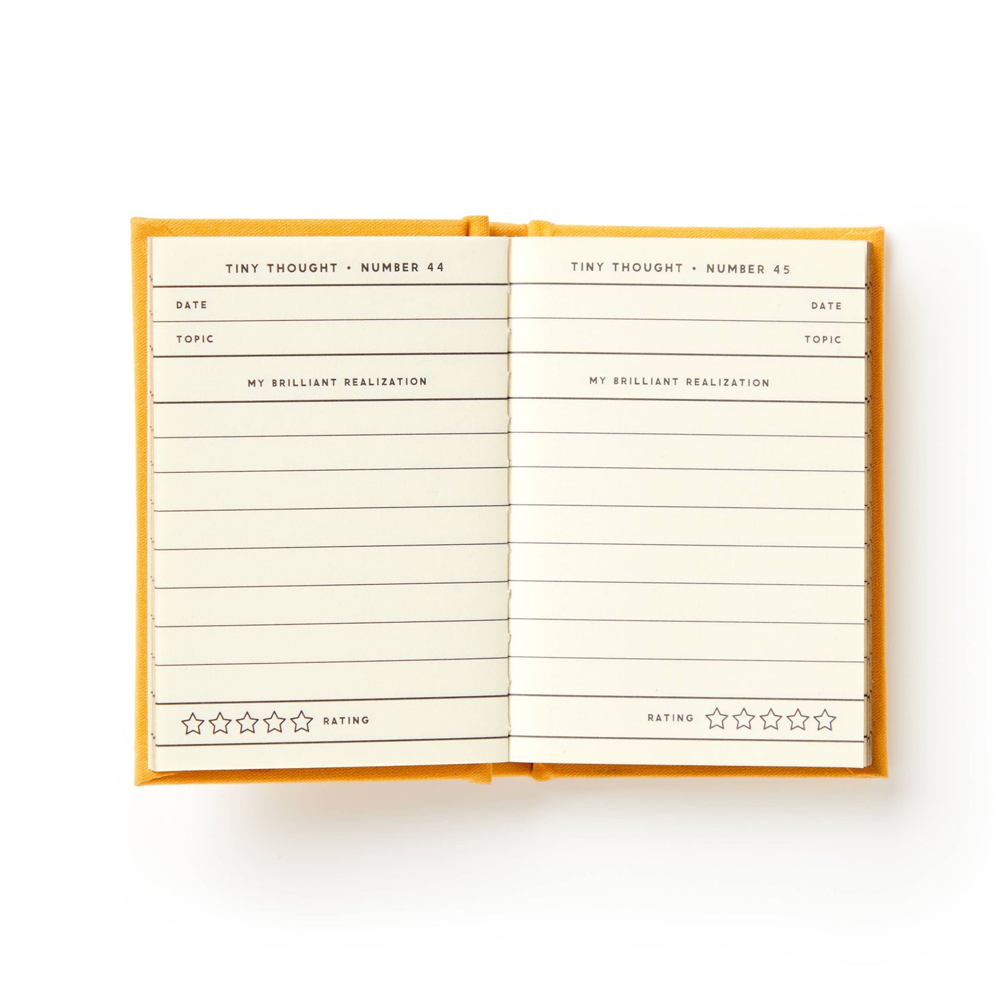 Tiny Diary for Tiny Thoughts