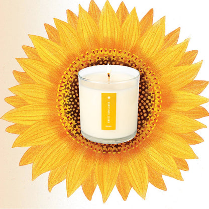 Sweet Sunflower - Plant the Box Candle - 9oz.