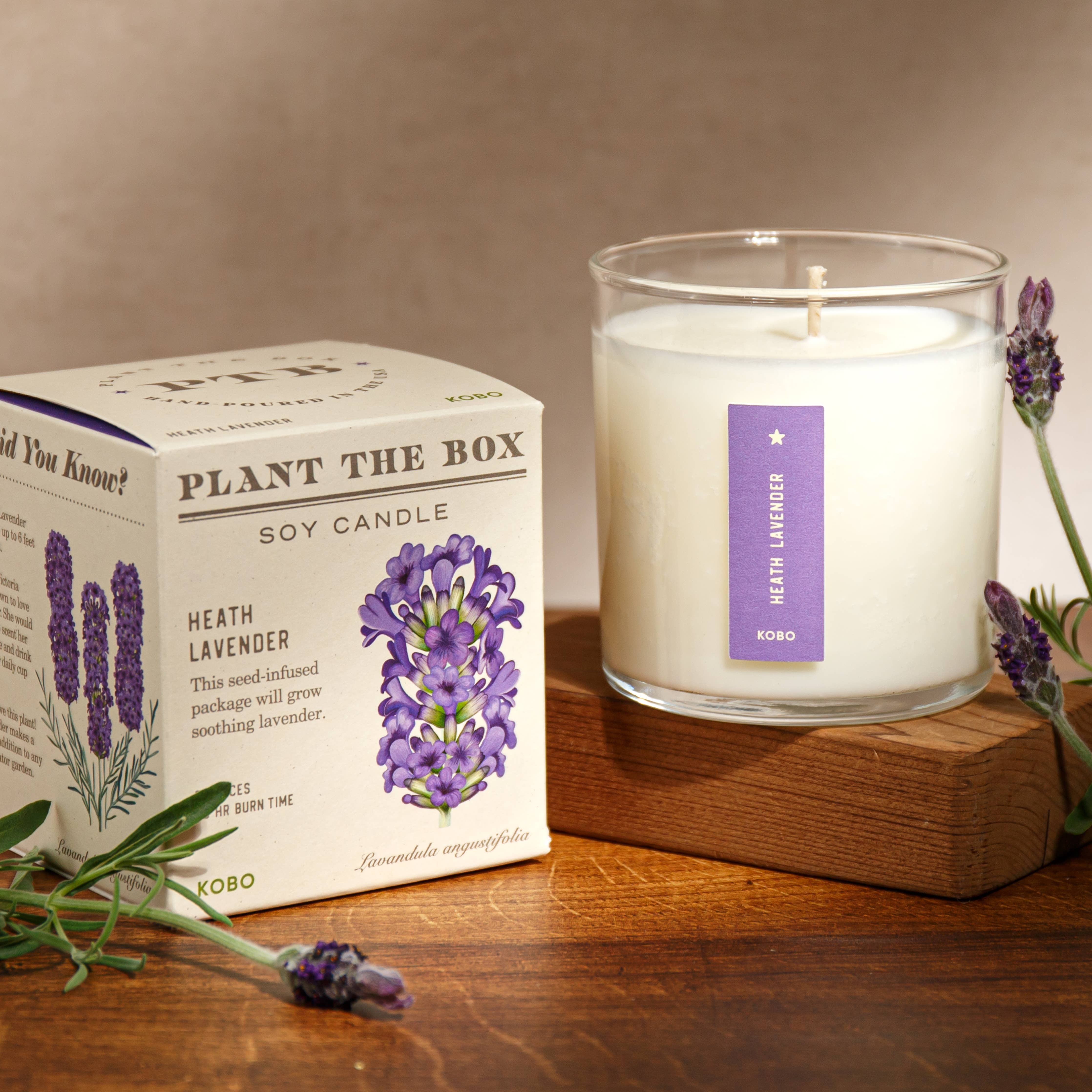 lavender plant box Kobo Candles Heath Lavender Soy Candle with Plantable Box