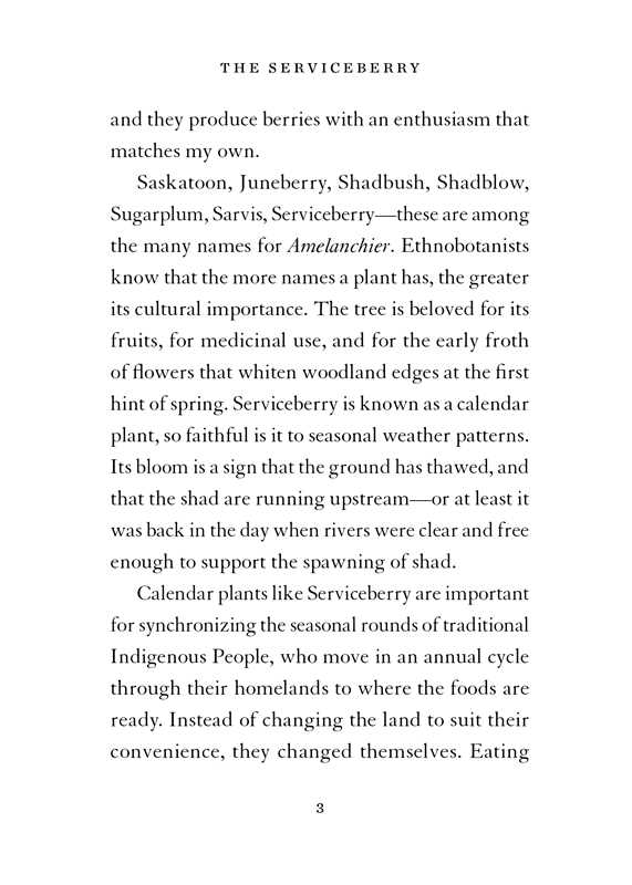 Serviceberry by Robin Wall Kimmerer: Hardcover; 128 pages / English - r. h. ballard shop & gallery