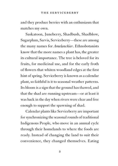 Serviceberry by Robin Wall Kimmerer: Hardcover; 128 pages / English - r. h. ballard shop & gallery