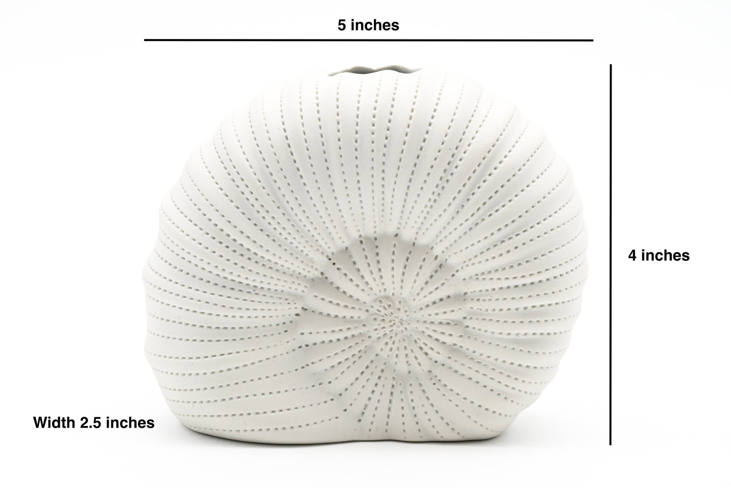 CELTIC S-Handcrafted Porcelain Vase
