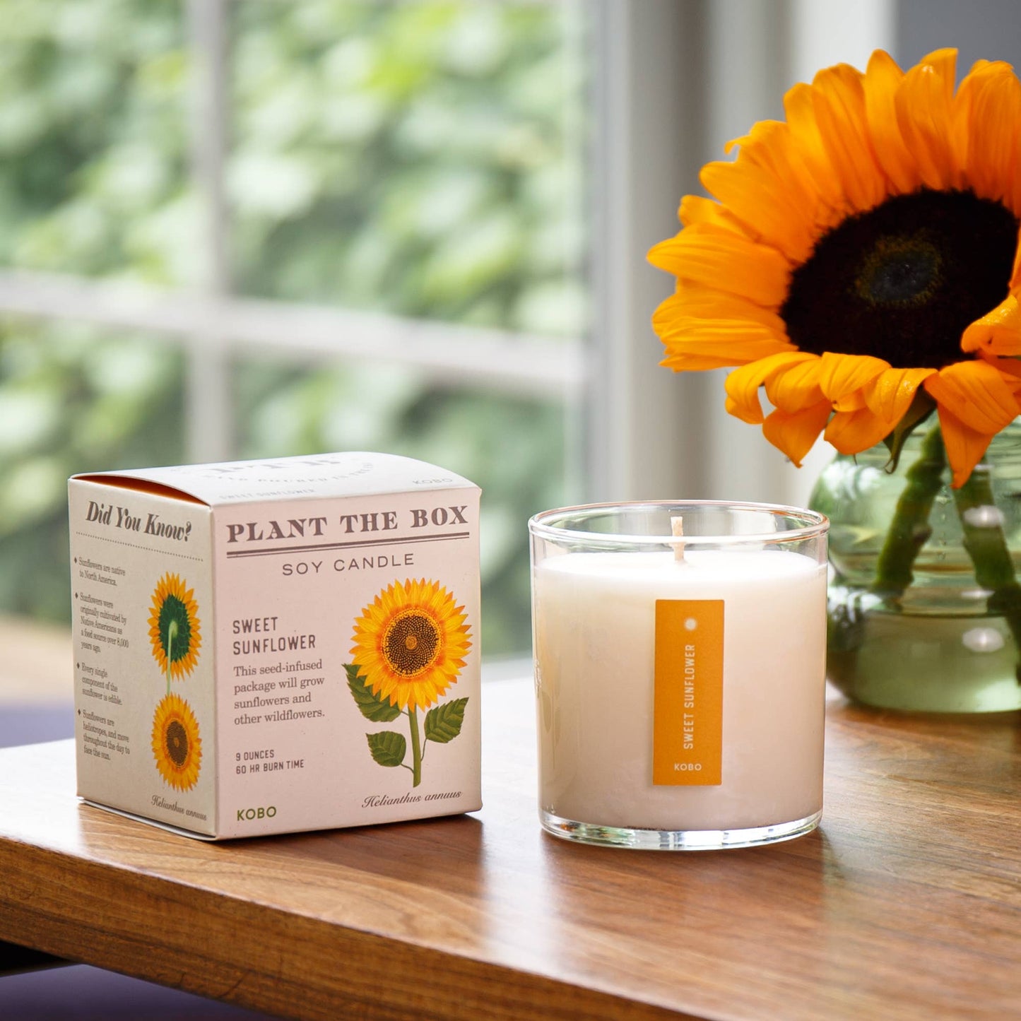 Sweet Sunflower - Plant the Box Candle - 9oz.