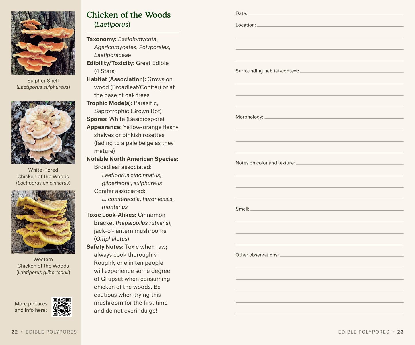 Dr. Fun Guy's Mushroom Journal - r. h. ballard shop & gallery