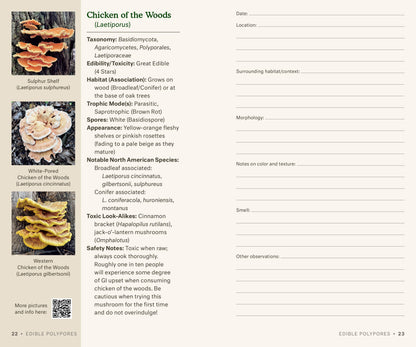 Dr. Fun Guy's Mushroom Journal - r. h. ballard shop & gallery