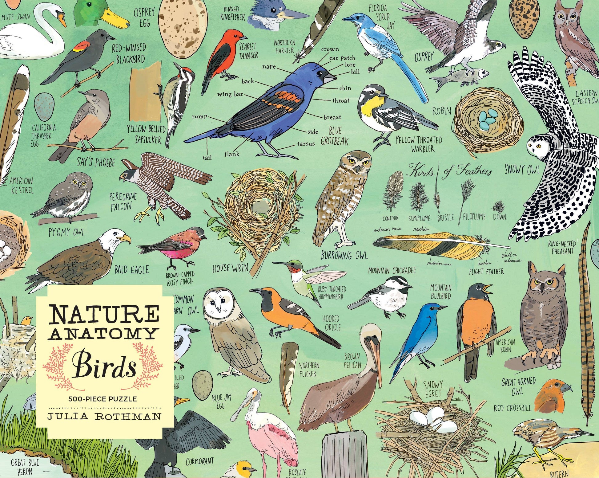 Nature Anatomy: Birds Puzzle (500 pieces) - r. h. ballard shop & gallery