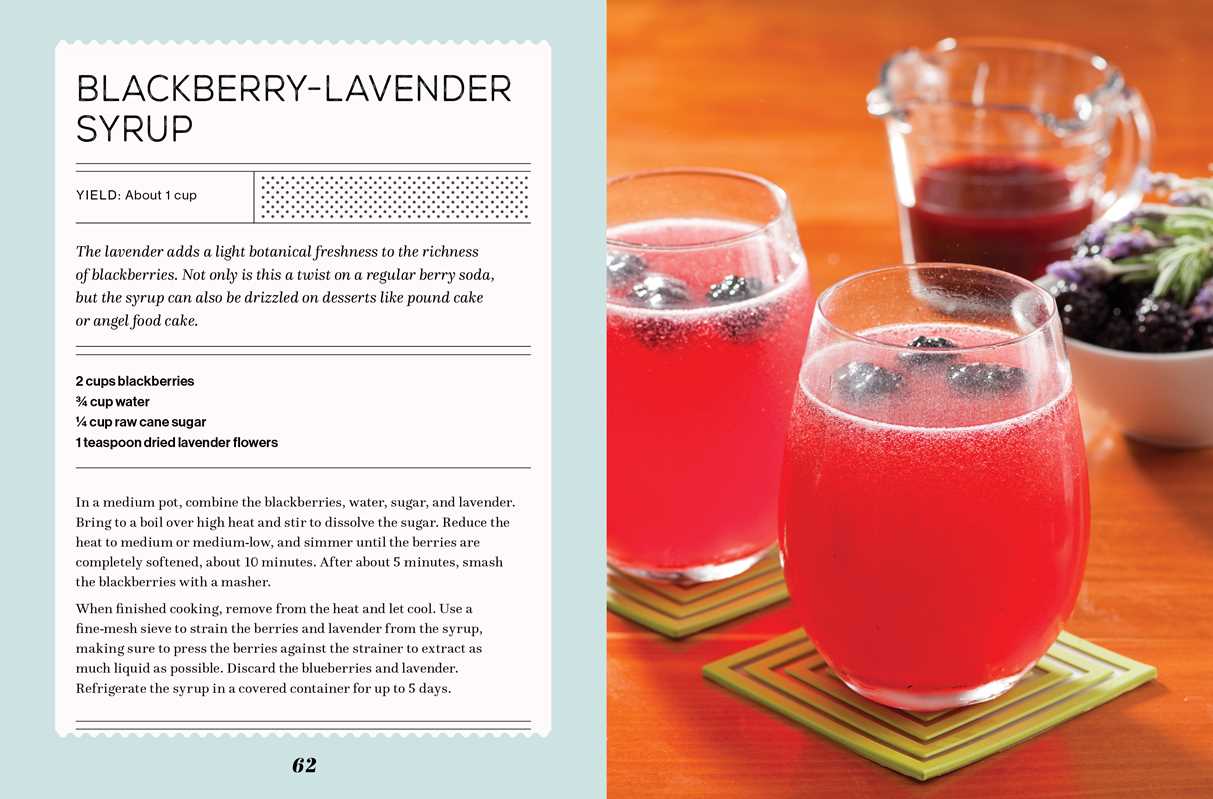 Fizz by Andrea Lynn: Hardcover; 144 pages / English - r. h. ballard shop & gallery