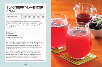 Fizz by Andrea Lynn: Hardcover; 144 pages / English - r. h. ballard shop & gallery