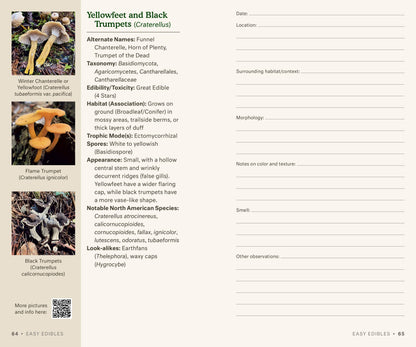 Dr. Fun Guy's Mushroom Journal - r. h. ballard shop & gallery